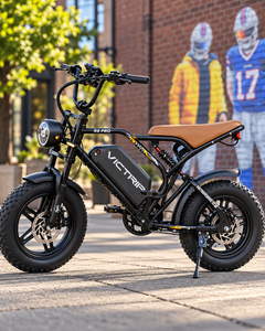 VICTRIP R6 Pro 1000W Off-Road Electric Bike – 48V 25Ah