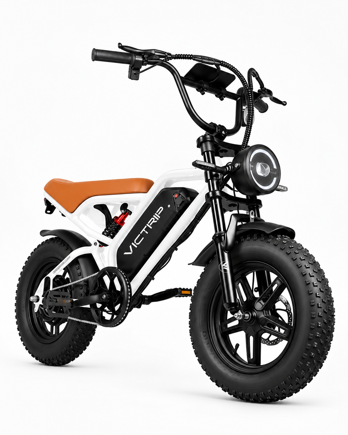 VICTRIP R6 Pro 1000W Off-Road Electric Bike – 48V 25Ah