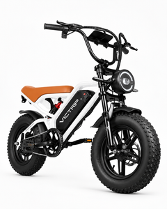 VICTRIP R6 Pro 1000W Off-Road Electric Bike – 48V 25Ah