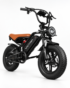 VICTRIP R6 Pro 1000W Off-Road Electric Bike – 48V 25Ah